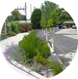 Stormwater Planters